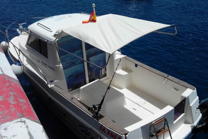 Exclusive Boat Trip for 5 people in La Gomera image