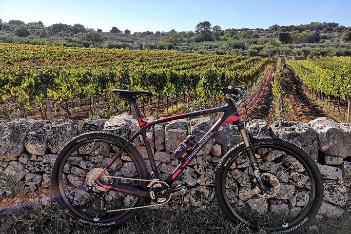 Bike ride in the Apulian Aqueduct Cycle Route image