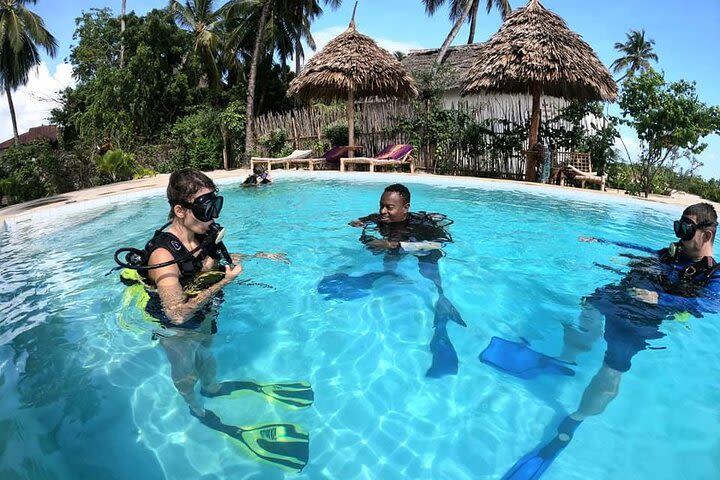 Small-Group Scuba Diving Experience in Jambiani image