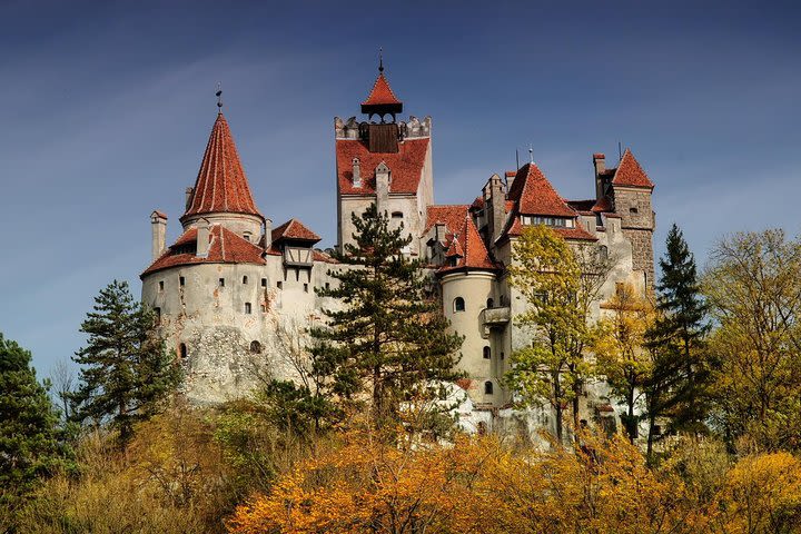 Bear Sanctuary, Bran (Dracula) Castle, Peles Castle From Brasov image