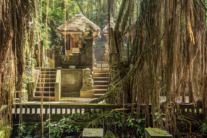 Private Tour: The Most Beautiful Places in Ubud image