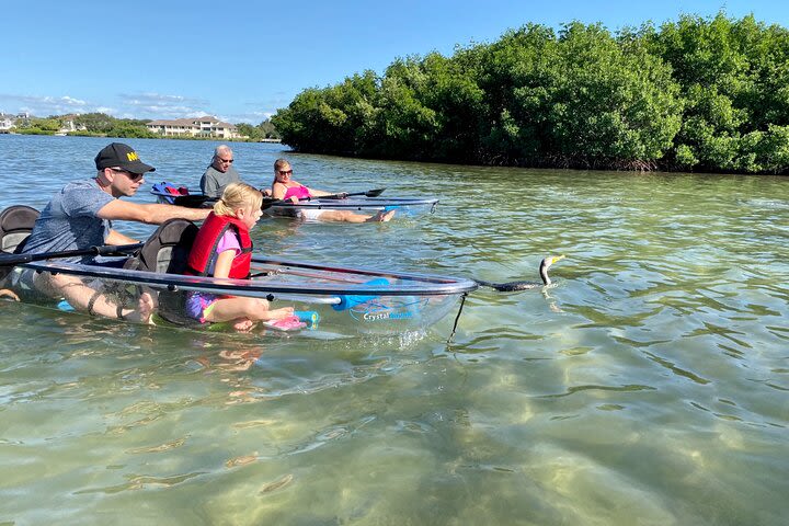 Paddle Pals - Educational Clear Kayak adventure for an Adult + Child Age 9-12 image