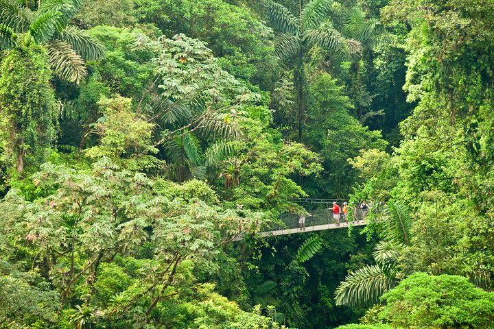 Arenal Selfguide: Mistico Hanging Bridges, Fortuna Waterfall, Volcano Nat Park image