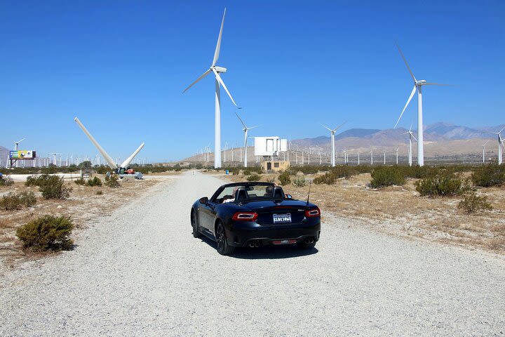 Palm Springs Windmill Tours image