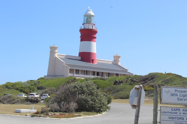 Full Day Shared Round Trip from Cape Town to Cape Agulhas  image