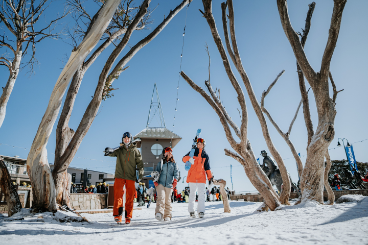 1 Day Mount Buller Snow Tour image