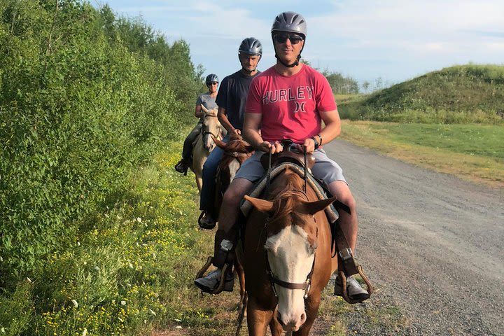 Trail Rides image