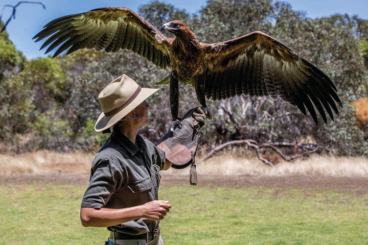 One Day Kangaroo Island Sip & See tour with return ferry transfers from Adelaide image