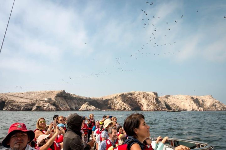 Ballestas Islands & Paracas National Reserve Tour image