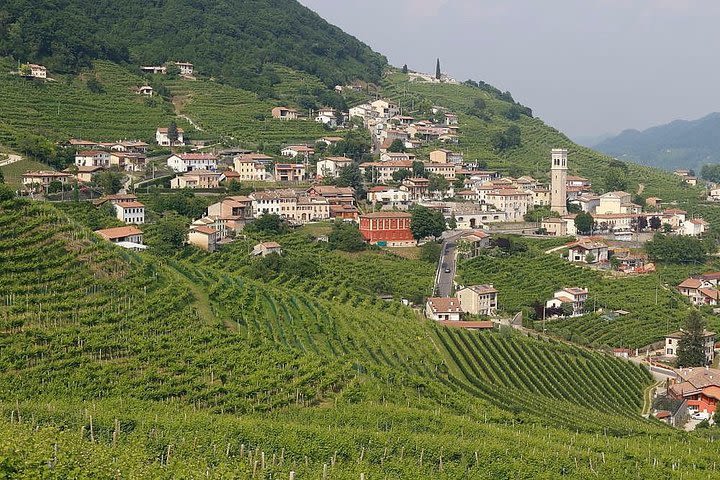 Prosecco region cellar visit, wine tasting, Palladian Villa, medieval village image