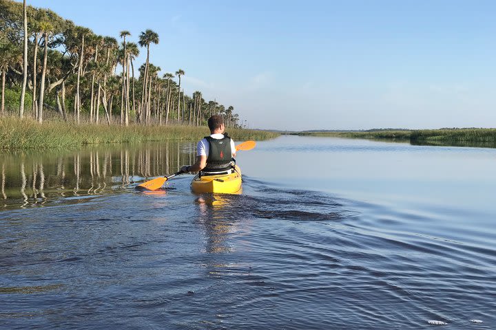 Matanzas River Kayaking and Wildlife Watching image