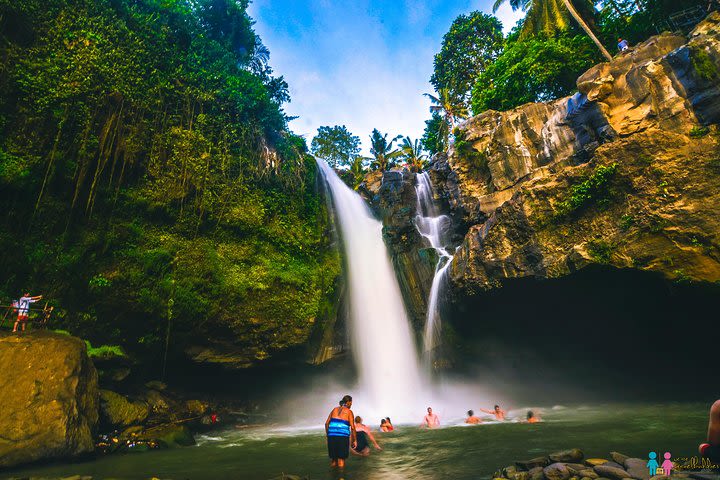 Bali Swing Combination With Tegenungan Waterfall & Luwak Coffee image