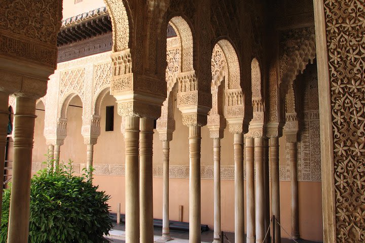 Full Day to Alhambra Palace and Generalife Gardens Direct from Malaga image