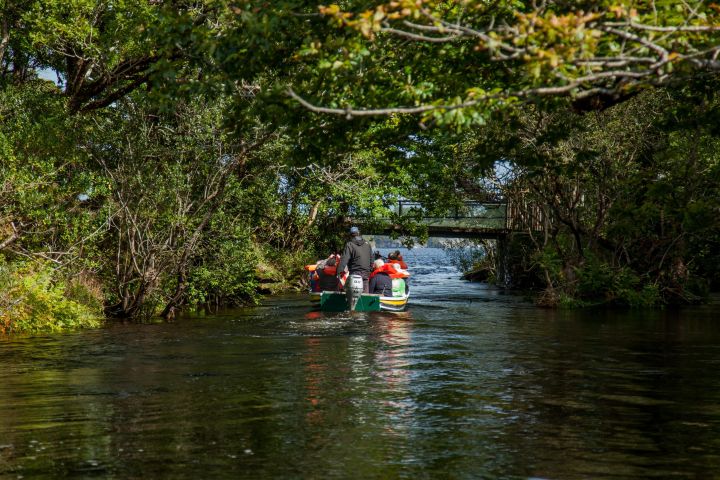 Gap of Dunloe Tour (Boat & Bus) image