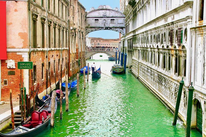Venice in a Day: the main highlights of the city image