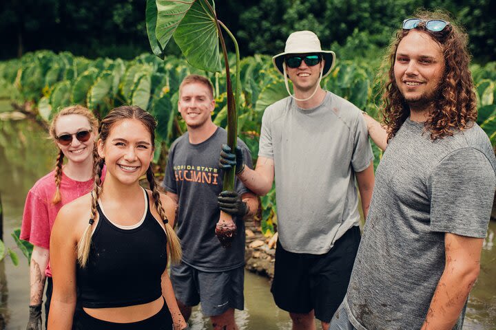 Kualoa Ranch: Malama Experience Tour image