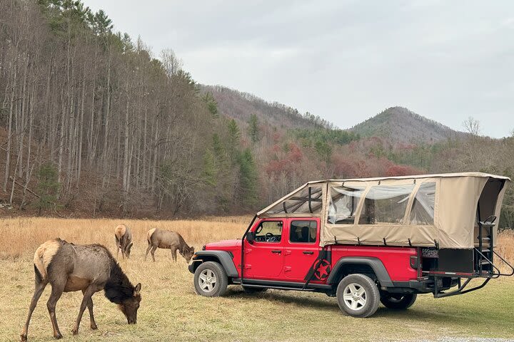 Smoky Mountain, Cherokee Reservation, Safari Jeep Adventure image