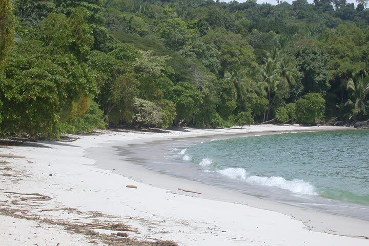 Manuel Antonio National Park from San Jose image