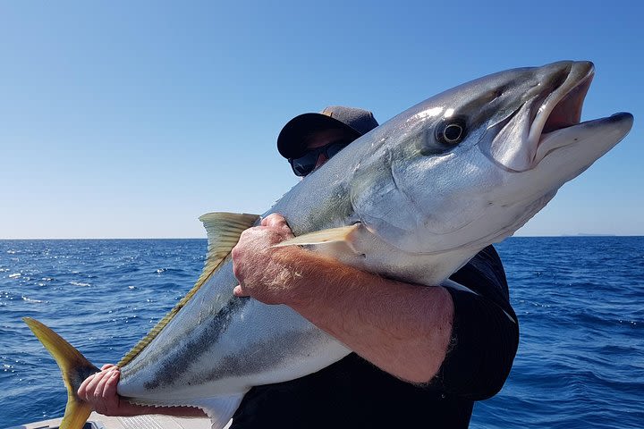 Fishing charter - single seat image