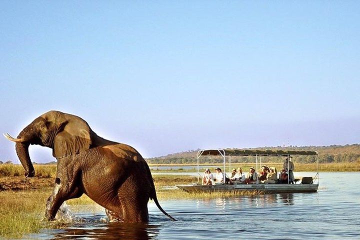 River Safari image