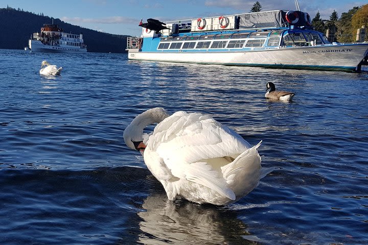 Shore Excursion: Lake District Adventure Sightseeing Day Trip from Liverpool image