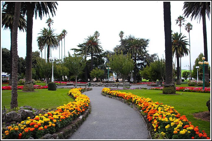 Small Group 2.5-Hour Napier History and Art Deco Tour  image