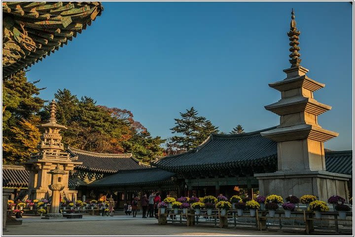 Gyeongju Small Group One Day Tour from Busan (Max. 5) image