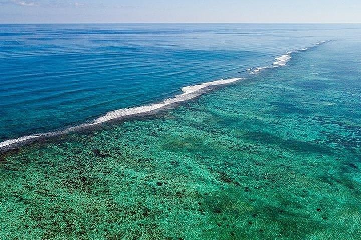 Nature Beauties at Sian Ka'an Biosphere! image