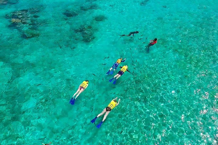 Basic Snorkel Experience in Cancun image