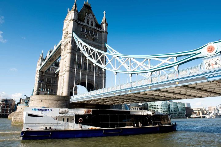 London Westminster to Greenwich Single Cruise Ticket image