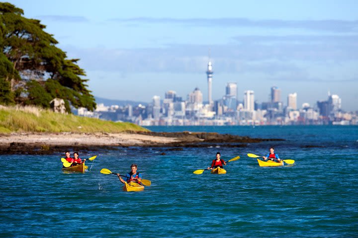 Half day kayak tour to Motukorea island image