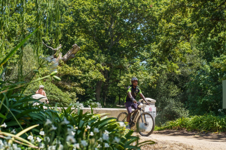 Franschhoek Half Day Winelands Mountain Bike Cycle Tour image