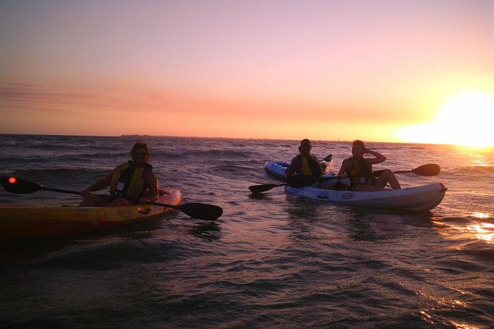 Guided Sunset Kayak Eco Tour of Pelican Bay image