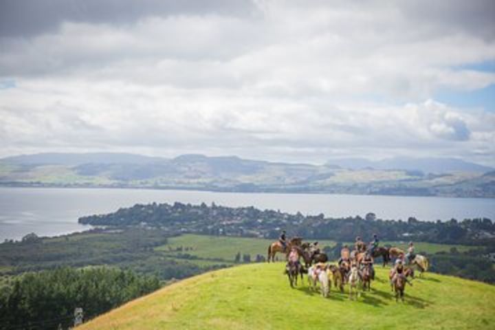 Guided Horse Trekking from Rotorua image