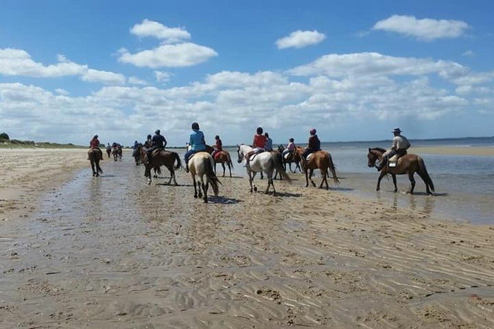 Horseback riding and country lunch - from Montevideo image