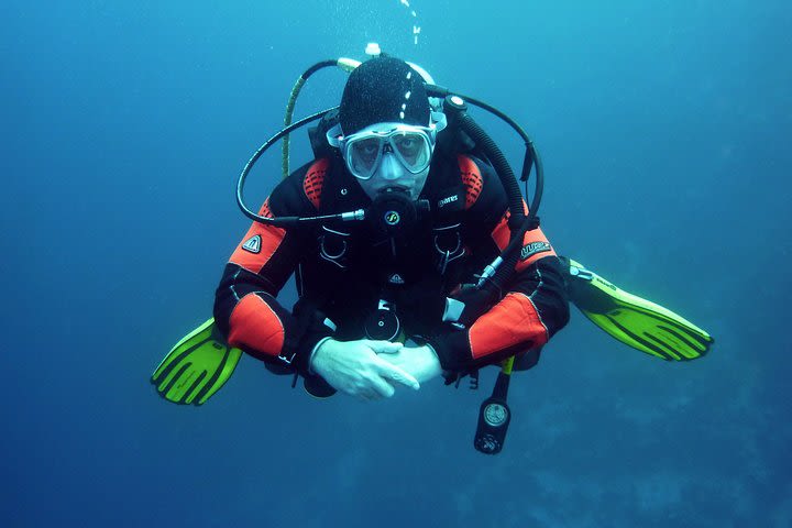 Scuba Diving at Phuket’s Anemone Reef image