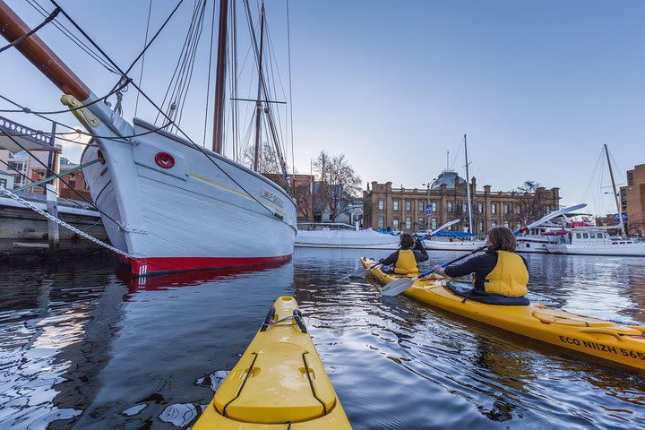 Hobart Kayak Tour image