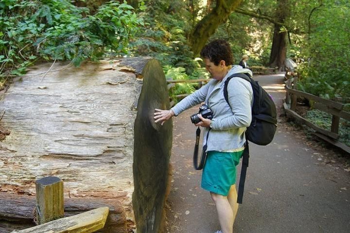 Muir Woods Visit with San Francisco Hop-On Hop-Off Tour image