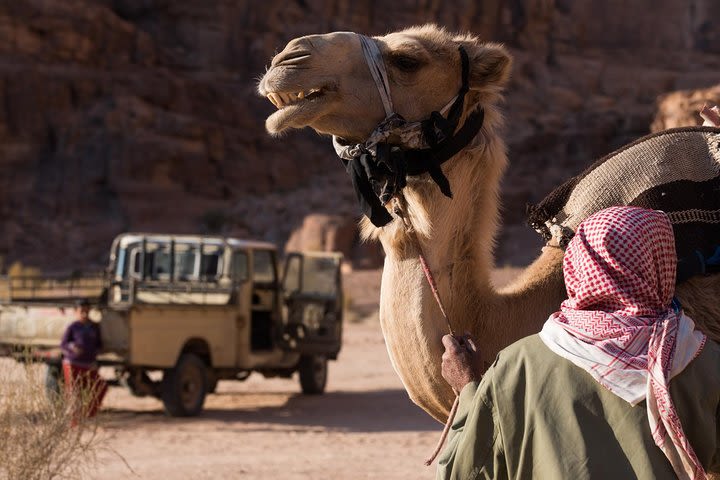 Jeep Tour with Professional Guide in Wadi Rum (2 hours) image