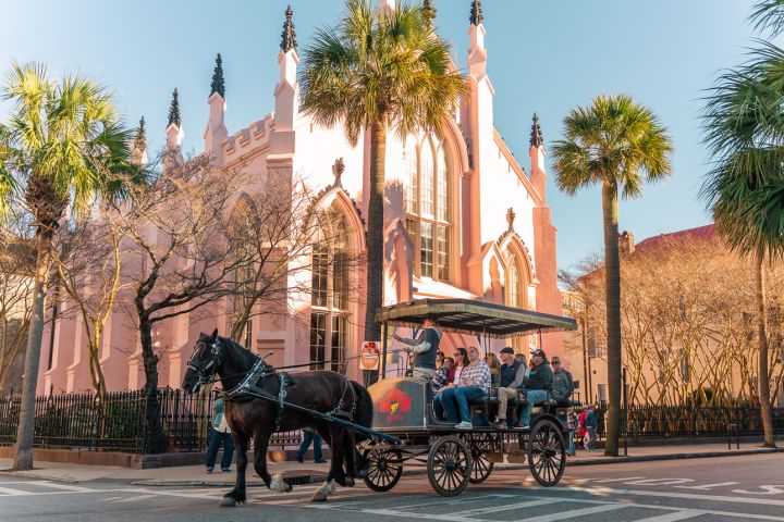 Evening Horse-Drawn Carriage Tour of Downtown Charleston image