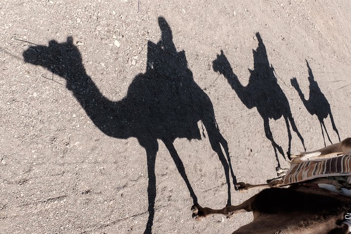 2-Hour Camel Safari Sunset with Bedouin Meal image