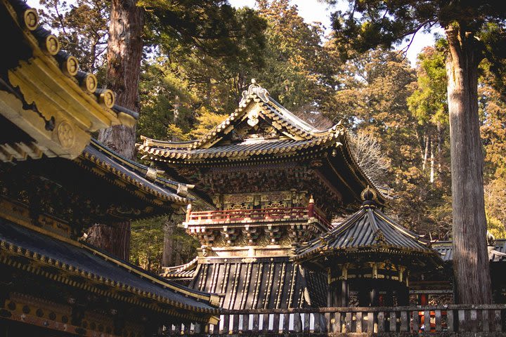 1 Day Private Nikko World Heritage Tour (Charter) - English Speaking Driver image