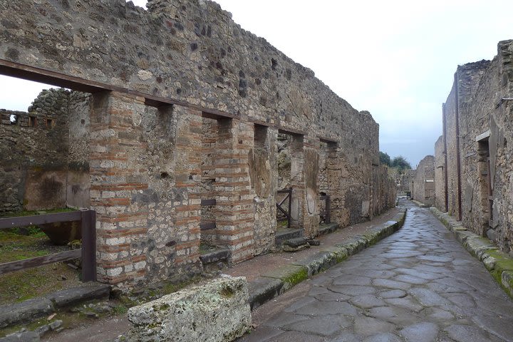 Pompeii & Wine Tour - ALL INCLUSIVE image