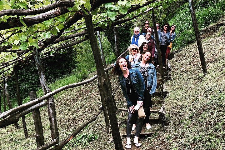 Amalfi coast private tour with Positano Ravello and Wine Tour image