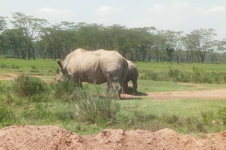 3 Days, 2 Nights Masai Mara Road Package image