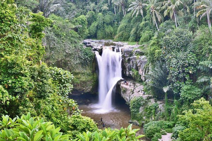 Full Day Best of Bali Volcano Tour image