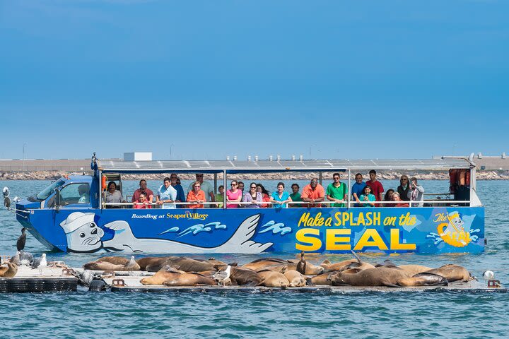 San Diego Seal Tour image