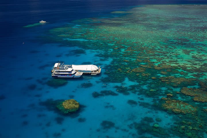 Great Barrier Reef Adventure from Cairns image