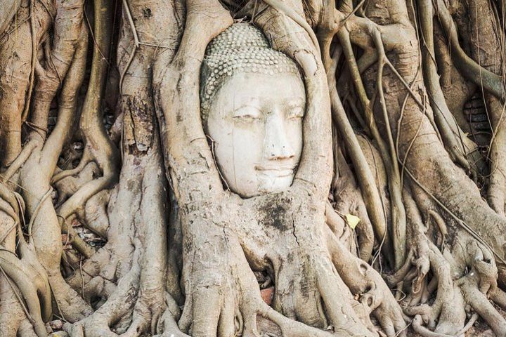 Private Tour: Ayutthaya Day Trip from Bangkok image