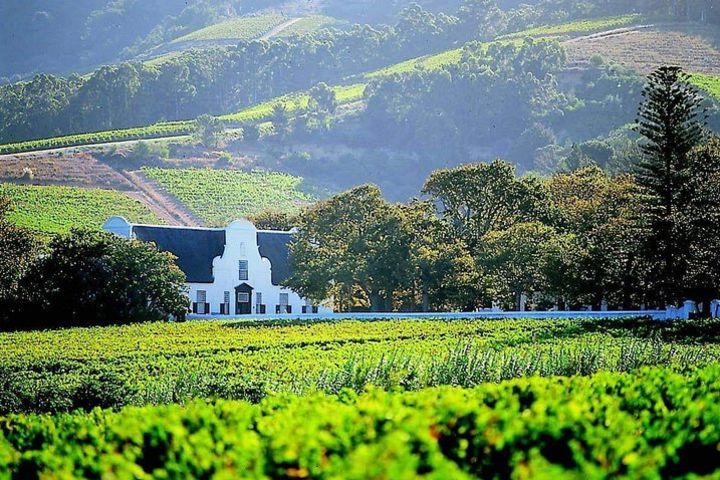 Cape Winelands Private Tour image